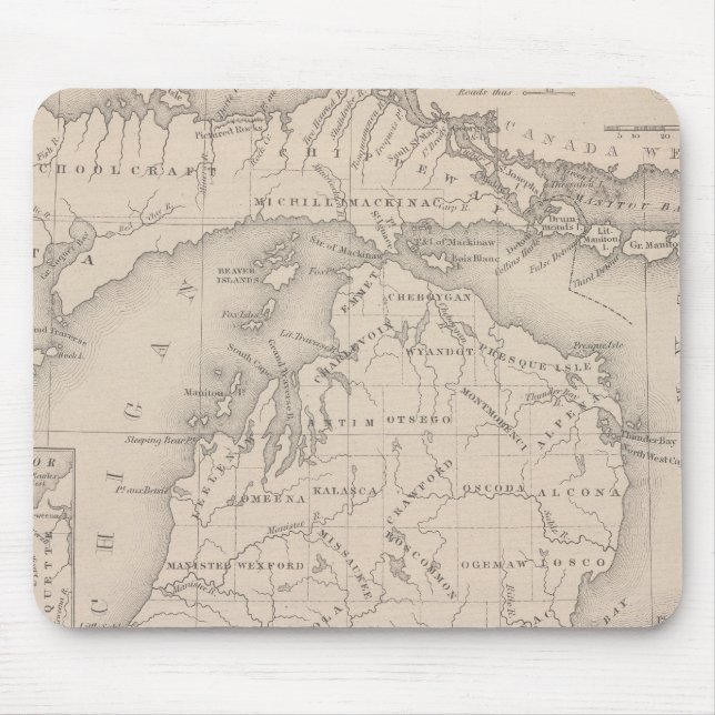 Alfombrilla De Ratón Michigan 5 (Frente)