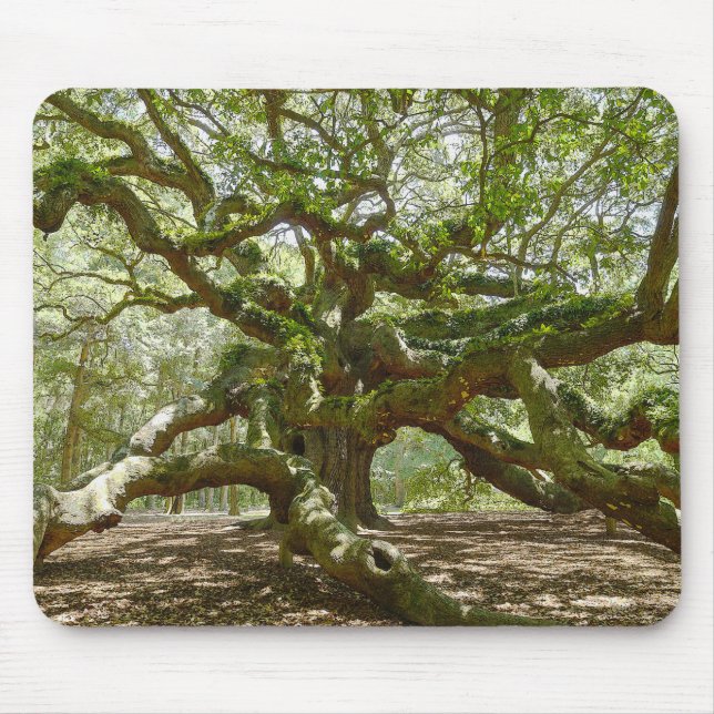 Alfombrilla De Ratón Mighty Angel Oak (Frente)