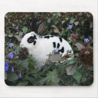 Alfombrilla De Ratón Mini mousepad del conejo de conejito de Rex