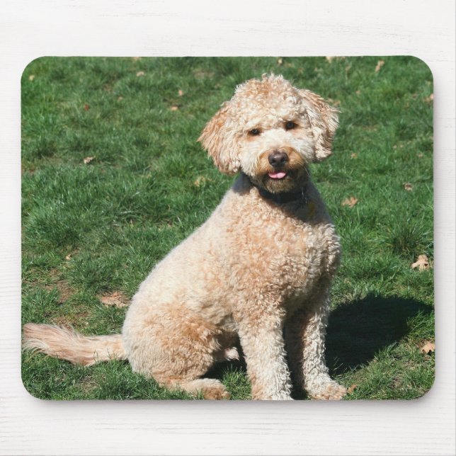 Alfombrilla De Ratón Mini mousepad del perrito de Goldendoodle (Frente)