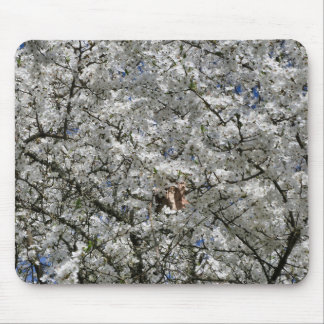 Alfombrilla De Ratón Mirabelle Blossom Mouse Mat