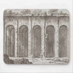 Alfombrilla De Ratón Mirabilis de Piscina, del 'della Antichita es de