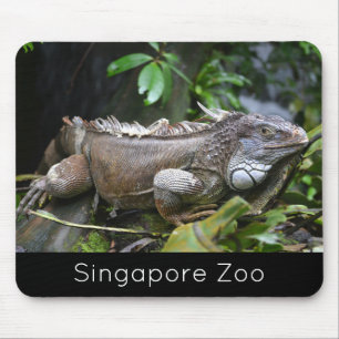 Alfombrilla De Ratón Míreme el zoológico de Singapur
