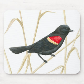 Alfombrilla De Ratón Mirlo de alas rojas Mousepad