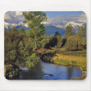 Alfombrilla De Ratón Mission Creek en el Refugio Nacional de Bisontes e