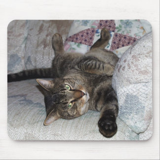 Alfombrilla De Ratón Mister-2