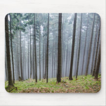 Misty Otumn Forest Relaxation