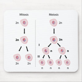 Alfombrilla De Ratón Mitosis contra mousepad de la meiosis
