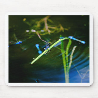 Alfombrilla De Ratón MK2A8136_v01