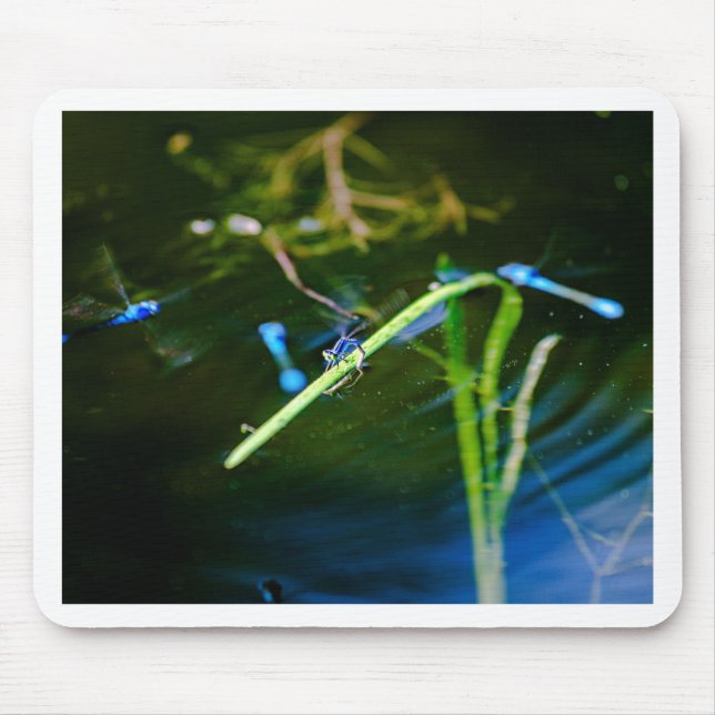 Alfombrilla De Ratón MK2A8136_v01 (Frente)