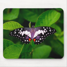 Alfombrilla De Ratón Moda de ratón de mariposa