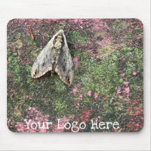 Moda inspirada en la naturaleza