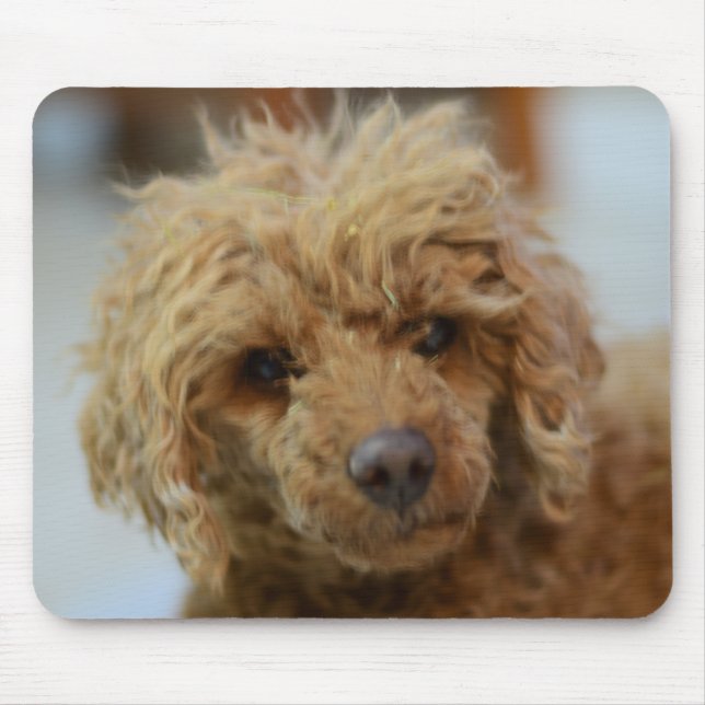 Alfombrilla De Ratón Molly the Poodle Mouse Pad (Frente)