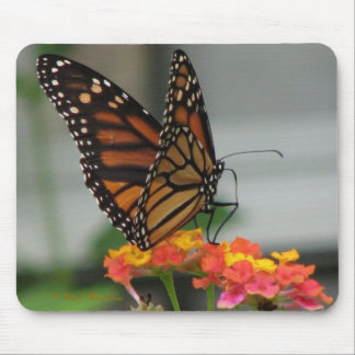 Alfombrilla De Ratón Monarca en el Lantana Mousepad