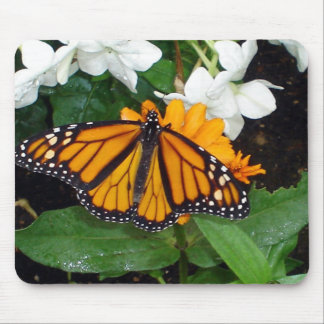 Alfombrilla De Ratón Monarca Mousepad