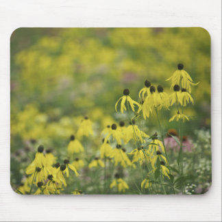 Alfombrilla De Ratón Monet_zazzle del coneflower de P2526a_yellow