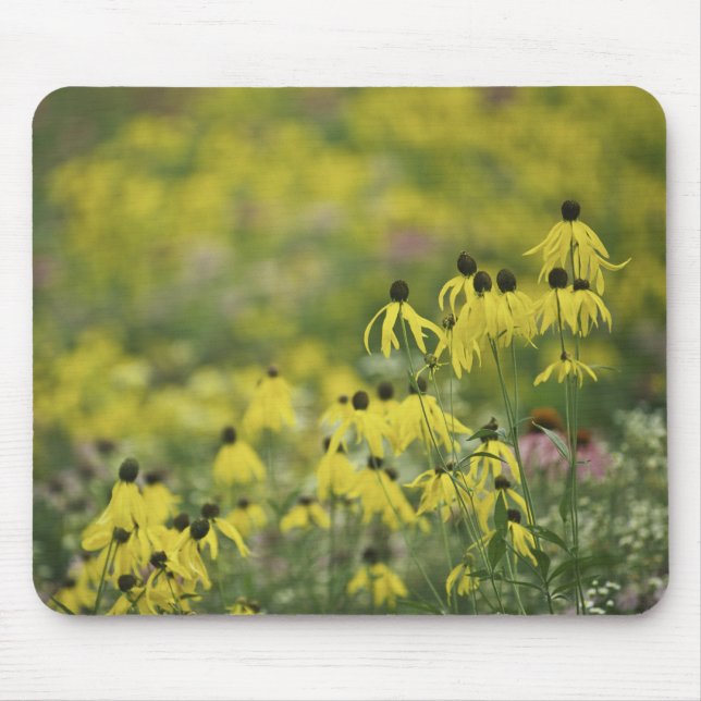 Alfombrilla De Ratón Monet_zazzle del coneflower de P2526a_yellow (Frente)