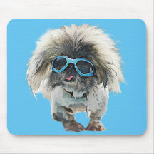 Mongo Rockstar Pekingese
