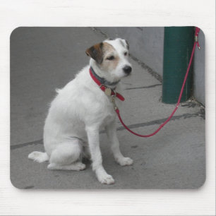 Alfombrilla De Ratón Mongrel blanco dulce