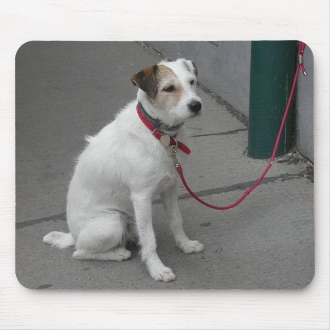 Alfombrilla De Ratón Mongrel blanco dulce (Frente)
