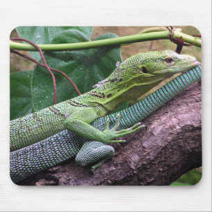 Alfombrilla De Ratón Monitor verde del árbol - prasinus del Varanus