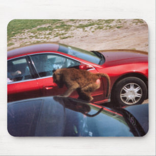 Alfombrilla De Ratón Monkey Business