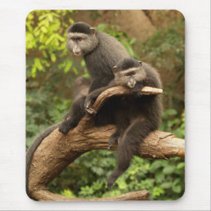Alfombrilla De Ratón Monkey Mousepad