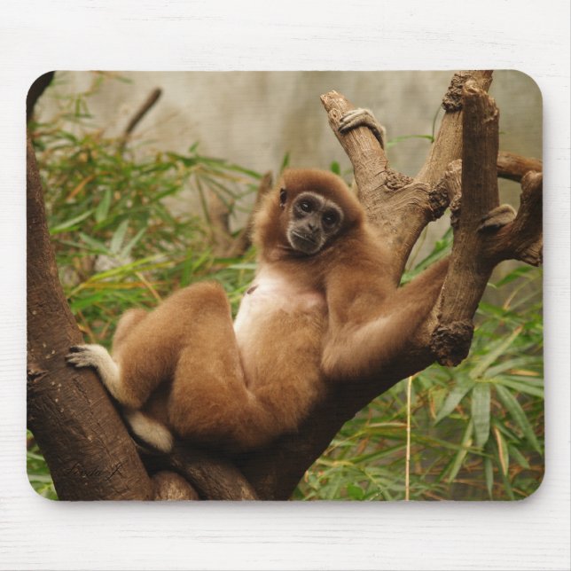 Alfombrilla De Ratón Monkey Mousepad (Frente)