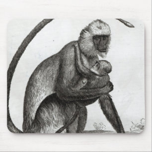Alfombrilla De Ratón Mono brasileño