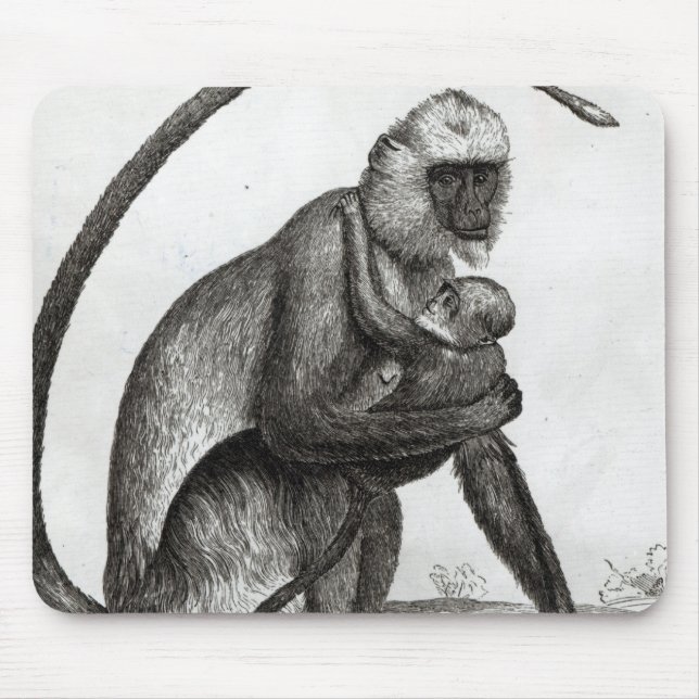 Alfombrilla De Ratón Mono brasileño (Frente)