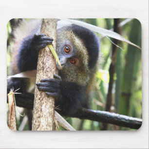Alfombrilla De Ratón Mono de oro en selva africana