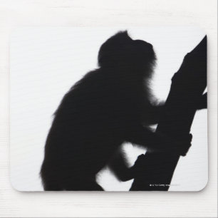 Alfombrilla De Ratón Mono en un árbol, península del ferrocarril,