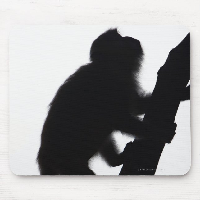 Alfombrilla De Ratón Mono en un árbol, península del ferrocarril, (Frente)