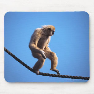 Alfombrilla De Ratón mono que camina en cuerda