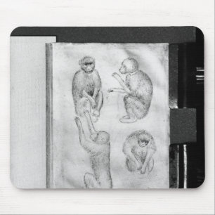 Alfombrilla De Ratón Monos, del álbum de Vallardi