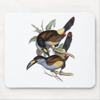 Alfombrilla De Ratón montaña Placa-cargada en cuenta Toucan
