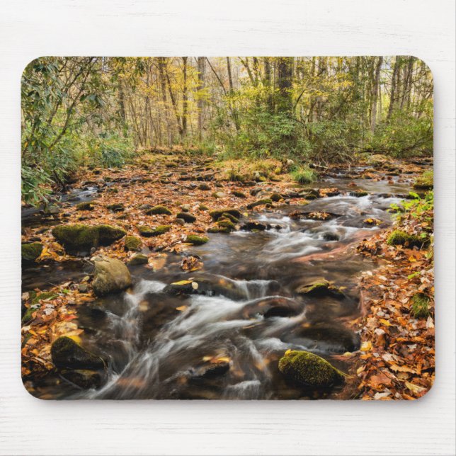 Alfombrilla De Ratón Montañas Cataloochee Creek NC Great Smoky (Frente)