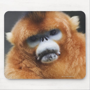 Alfombrilla De Ratón Montañas de Qinling