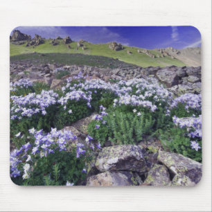 Alfombrilla De Ratón Montañas y flores silvestres en prado alpino,