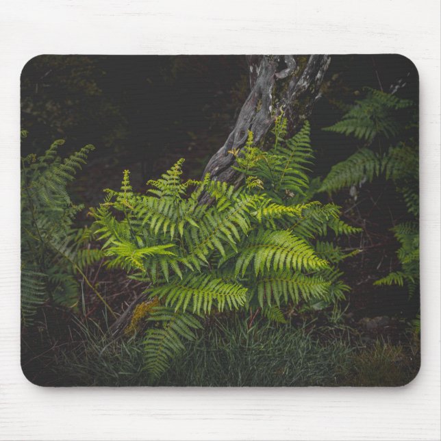 Alfombrilla De Ratón Moody green nature theme with ferns (Frente)