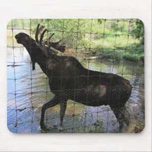 Alfombrilla De Ratón Moose