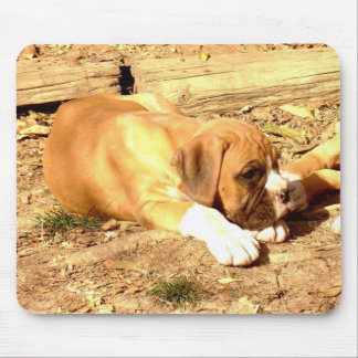 Alfombrilla De Ratón Mopa boxer
