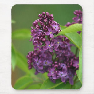 Alfombrilla De Ratón Morado Lilac Mousepad