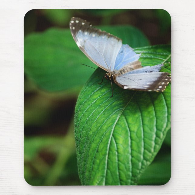 Alfombrilla De Ratón Morfo Azul 112 Mousepad (Frente)