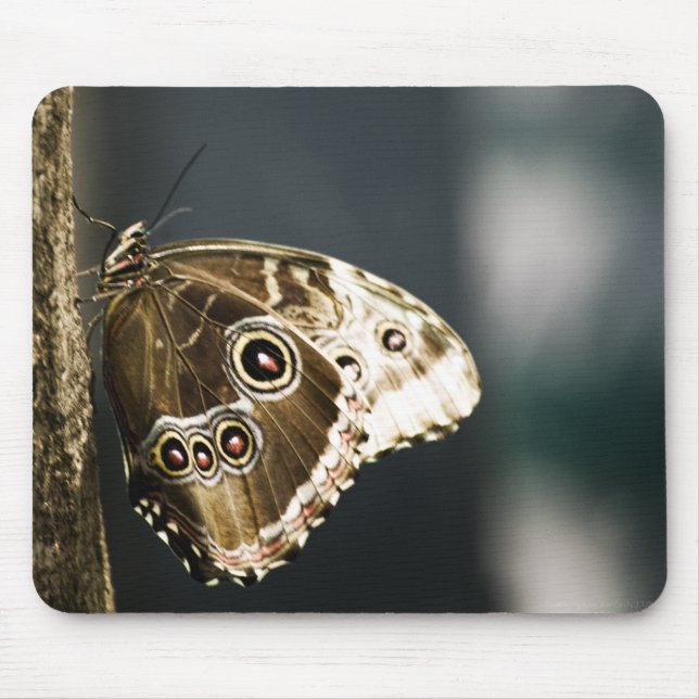 Alfombrilla De Ratón Morpho peleides Mousepad (Frente)