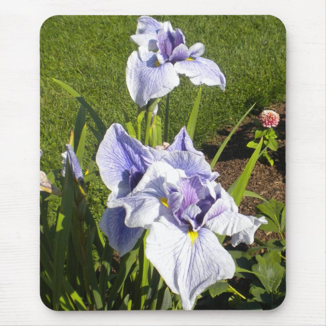 Alfombrilla De Ratón Morple Iris Mousepad (Frente)