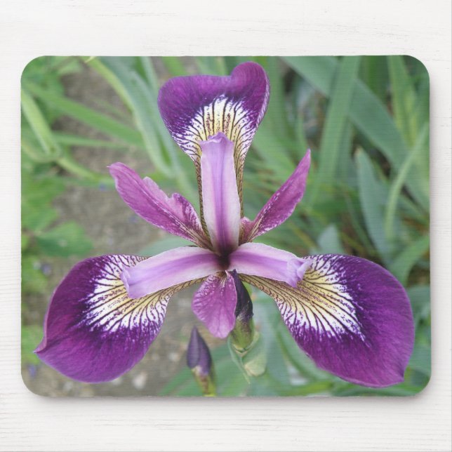 Alfombrilla De Ratón Morple Iris Mousepad (Frente)