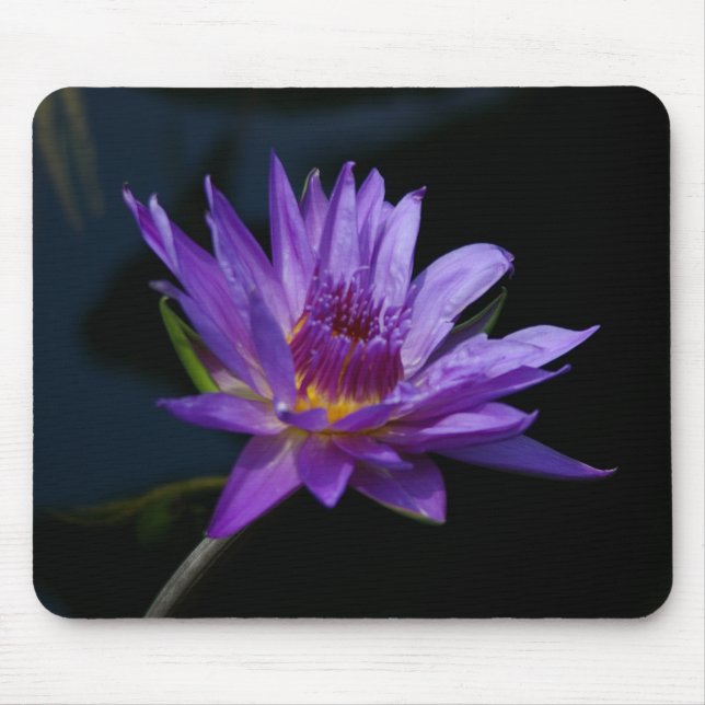 Alfombrilla De Ratón Morple Lotus Waterlily Mousepad (Frente)