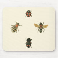 Moscas y escarabajos por Vision Studio