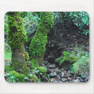 Alfombrilla De Ratón Mossy Trees